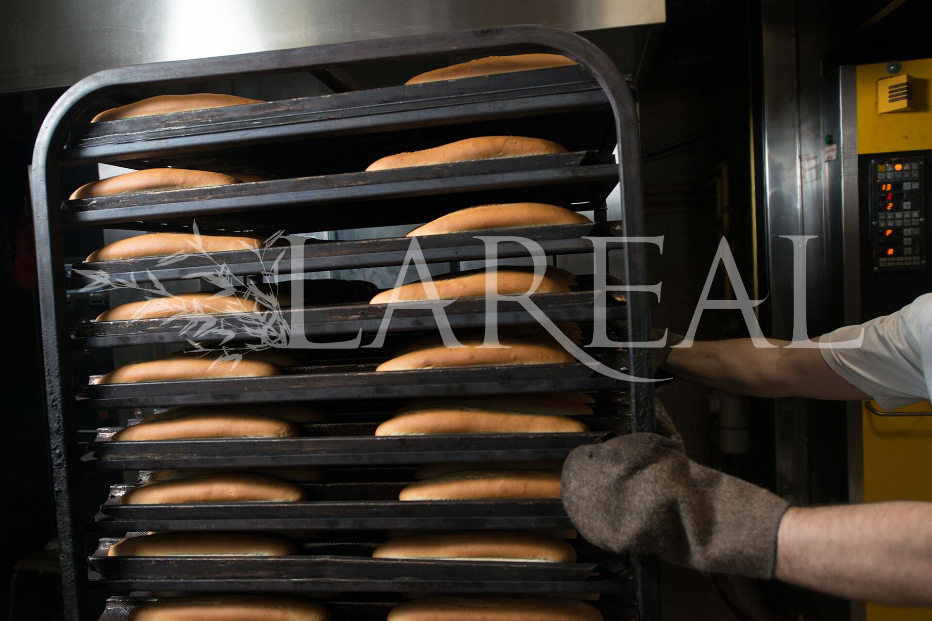 Fermentación y formado del pan en la fábrica de Badajoz